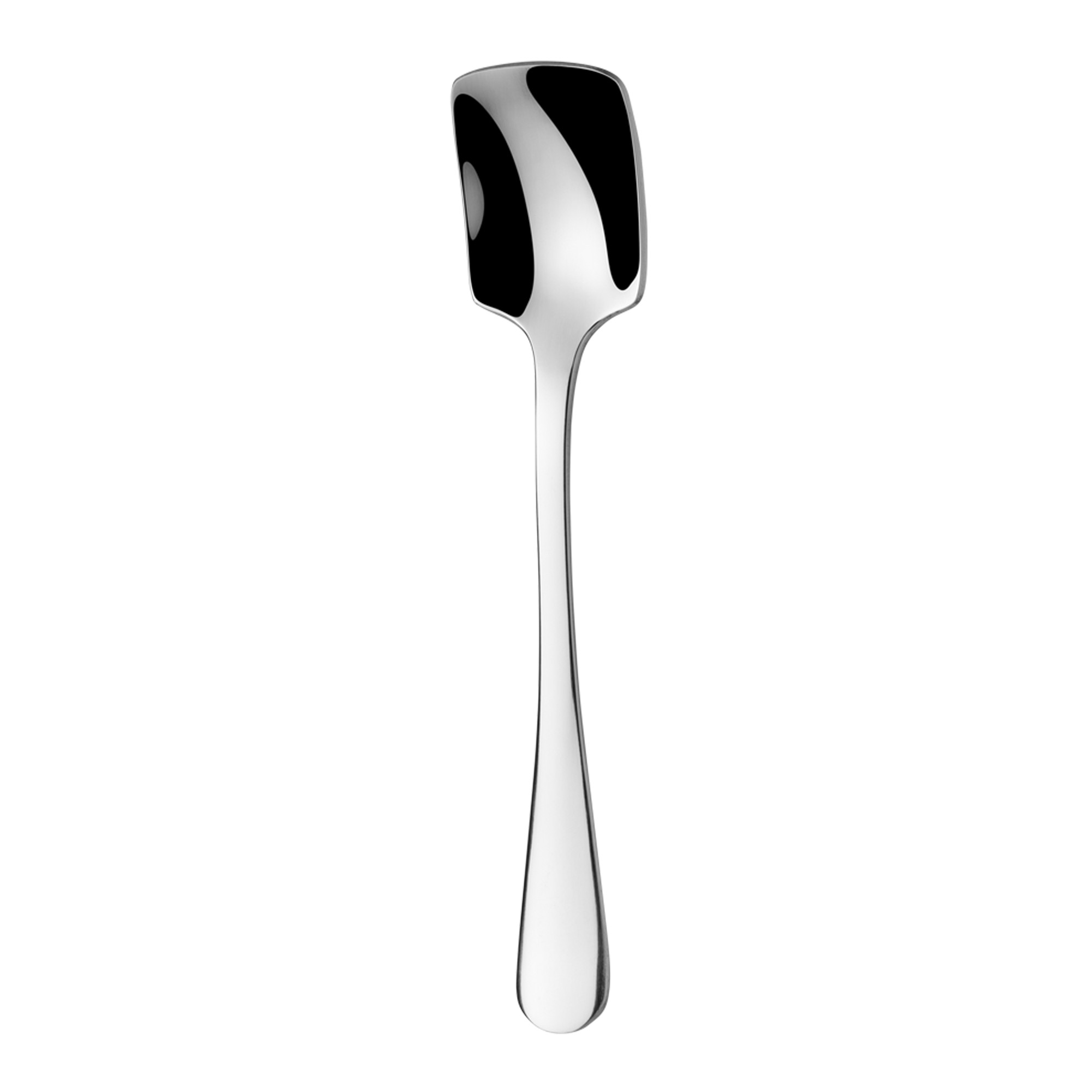 Spoon for ice cream and sugar - Hotel